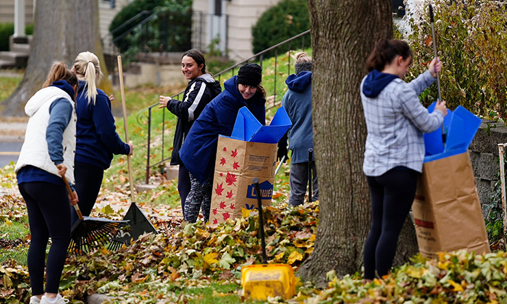 students raking leaves in the SAU neighborhood 